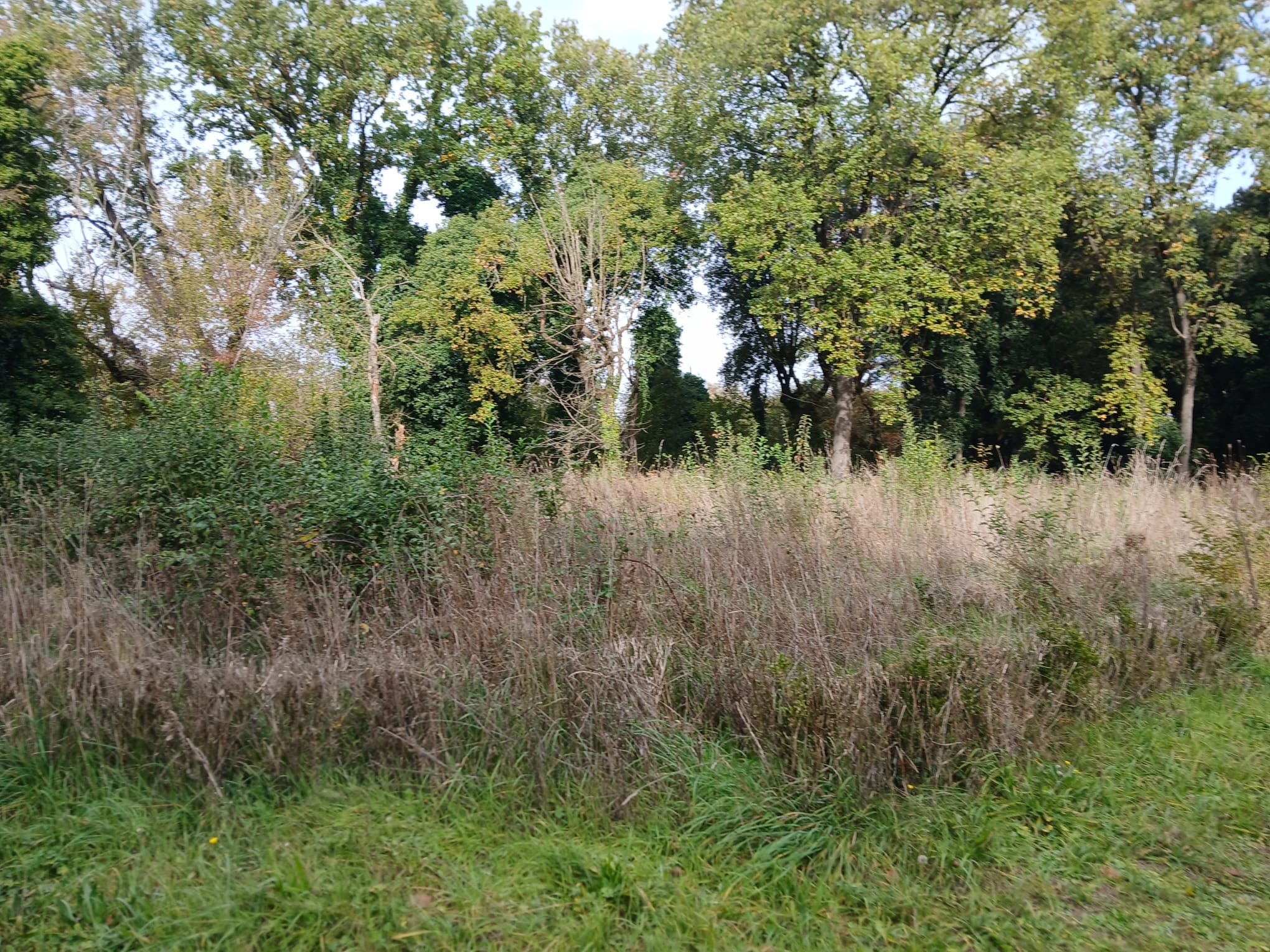 Luoghi da recuperare in Umbria: Bettona, quale futuro per Villa del Boccaglione? (foto) 30 Luoghi da recuperare in Umbria: Bettona, quale futuro per Villa del Boccaglione? (foto) 29