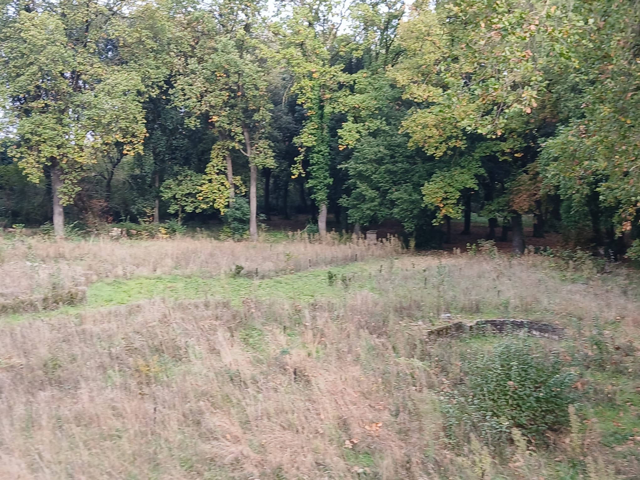 Luoghi da recuperare in Umbria: Bettona, quale futuro per Villa del Boccaglione? (foto) 14 Luoghi da recuperare in Umbria: Bettona, quale futuro per Villa del Boccaglione? (foto) 13