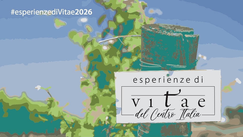 Perugia ospita “Esperienze di Vitae del Centro Italia”: vini, degustazioni e premi 16 Perugia ospita “Esperienze di Vitae del Centro Italia”: vini, degustazioni e premi 15