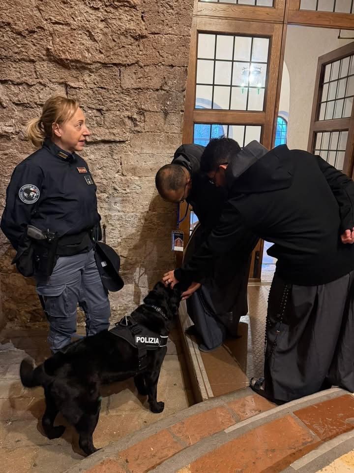 Ad Assisi il labrador Sugar in prima linea per l’Ottocentenario: ultimo incarico prima del congedo (foto) 8 Ad Assisi il labrador Sugar in prima linea per l’Ottocentenario: ultimo incarico prima del congedo (foto) 7