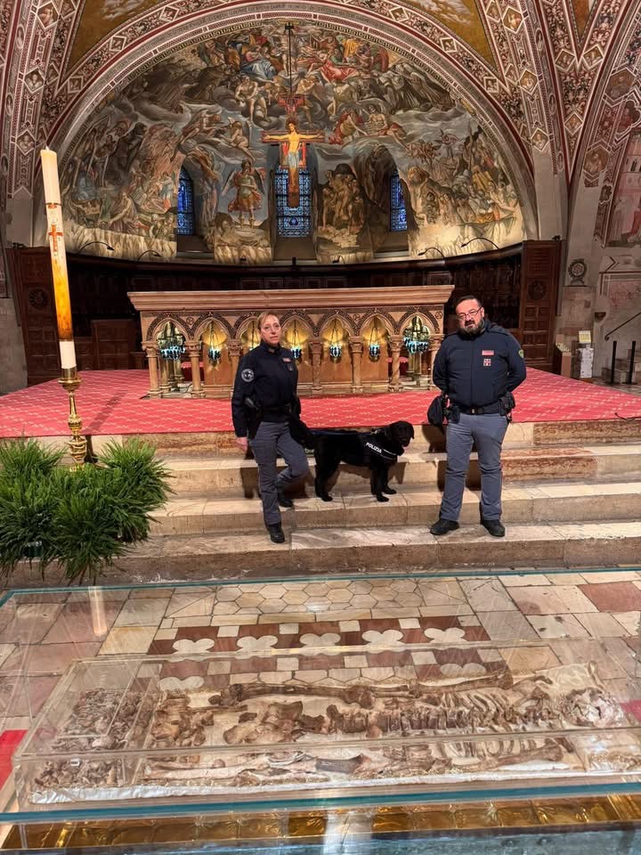 Ad Assisi il labrador Sugar in prima linea per l’Ottocentenario: ultimo incarico prima del congedo (foto) 6 Ad Assisi il labrador Sugar in prima linea per l’Ottocentenario: ultimo incarico prima del congedo (foto) 5