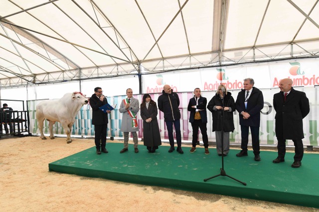 Antonio Forini inaugura la sua prima Agriumbria. Il mondo agrozootecnico nazionale si ritrova in Umbria (foto+video) 16