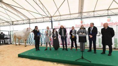 Antonio Forini inaugura la sua prima Agriumbria. Il mondo agrozootecnico nazionale si ritrova in Umbria (foto+video) 7