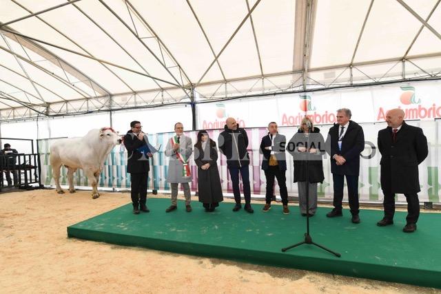 Antonio Forini inaugura la sua prima Agriumbria. Il mondo agrozootecnico nazionale si ritrova in Umbria (foto+video) 2 Antonio Forini inaugura la sua prima Agriumbria. Il mondo agrozootecnico nazionale si ritrova in Umbria (foto+video) 1