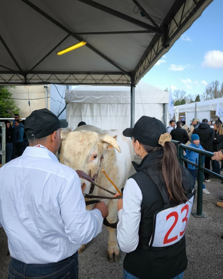 Agriumbria casa dell'agricoltura italiana. Successo confermato nonostante un meteo invernale, soprattutto il venerdì (foto) 44 Agriumbria casa dell'agricoltura italiana. Successo confermato nonostante un meteo invernale, soprattutto il venerdì (foto) 43