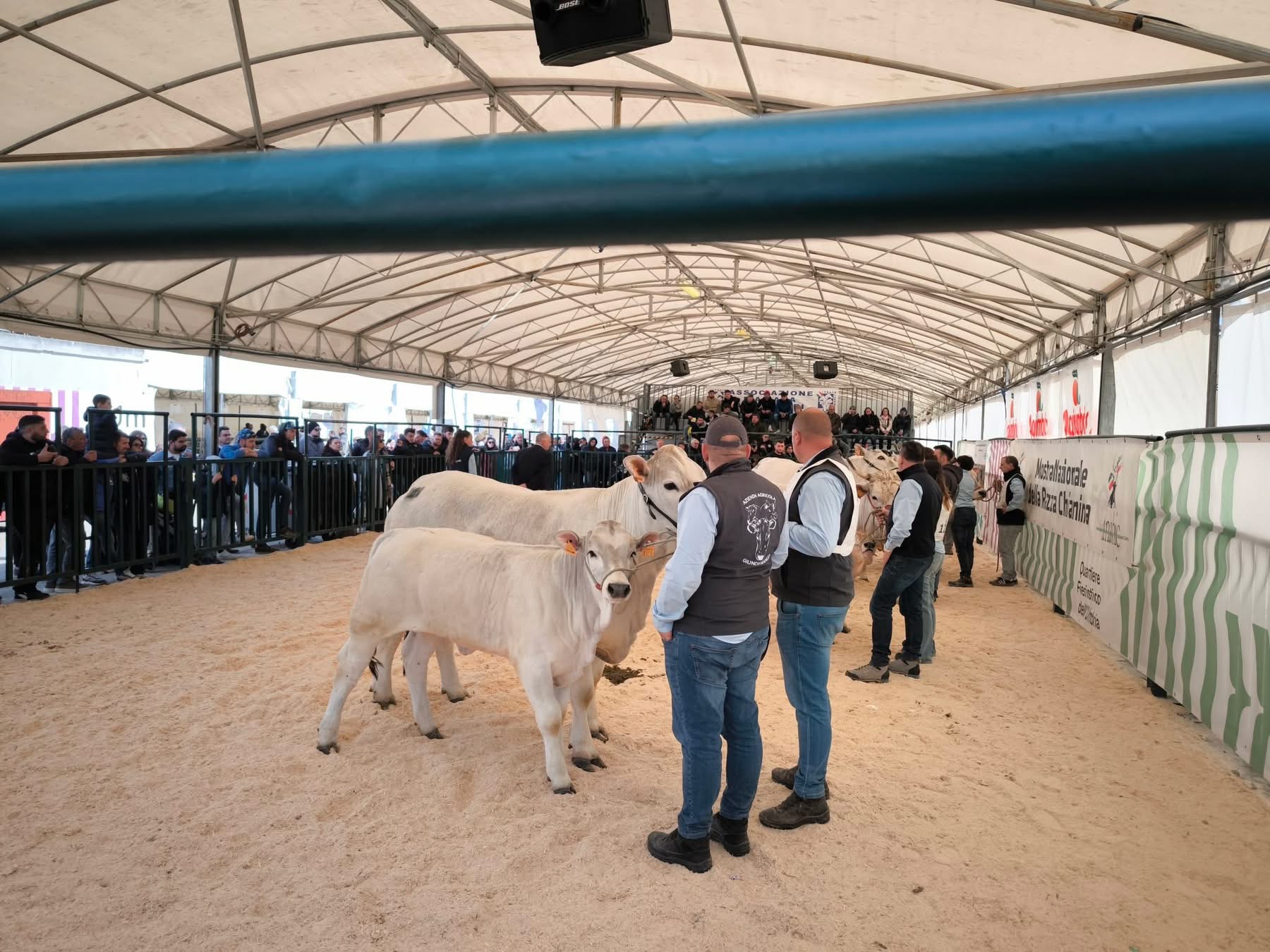 Agriumbria casa dell'agricoltura italiana. Successo confermato nonostante un meteo invernale, soprattutto il venerdì (foto) 52 Agriumbria casa dell'agricoltura italiana. Successo confermato nonostante un meteo invernale, soprattutto il venerdì (foto) 51
