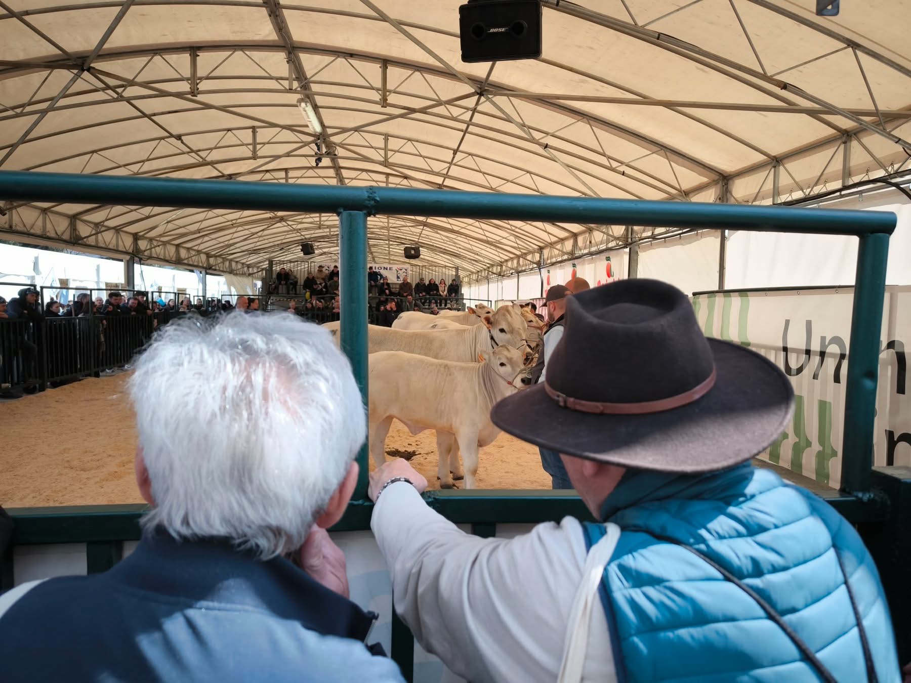 Agriumbria casa dell'agricoltura italiana. Successo confermato nonostante un meteo invernale, soprattutto il venerdì (foto) 54 Agriumbria casa dell'agricoltura italiana. Successo confermato nonostante un meteo invernale, soprattutto il venerdì (foto) 53