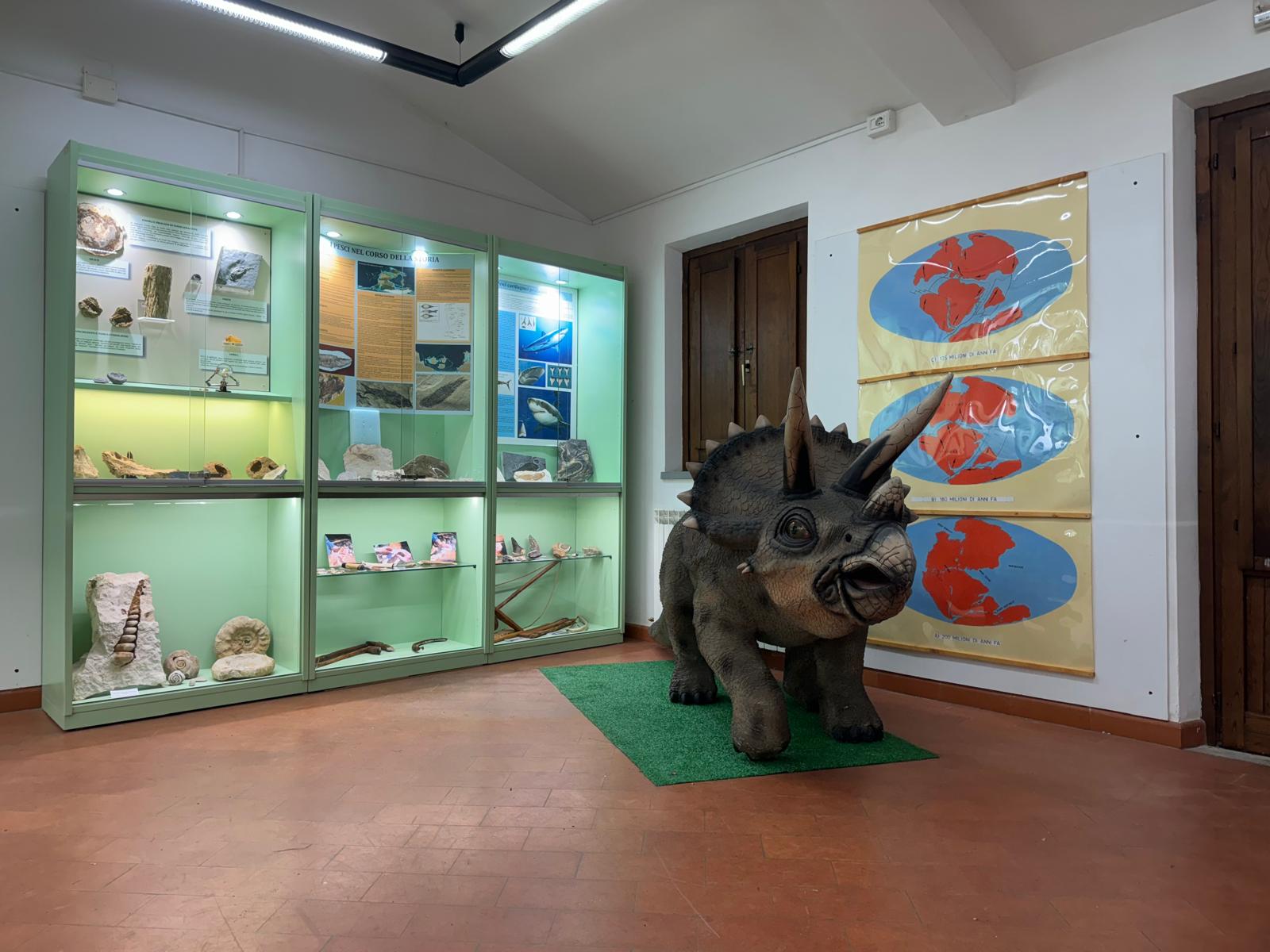 Monte Subasio, riapre la Mostra geo-paleontologica: spazi rinnovati e nuova offerta didattica 8 Monte Subasio, riapre la Mostra geo-paleontologica: spazi rinnovati e nuova offerta didattica 7