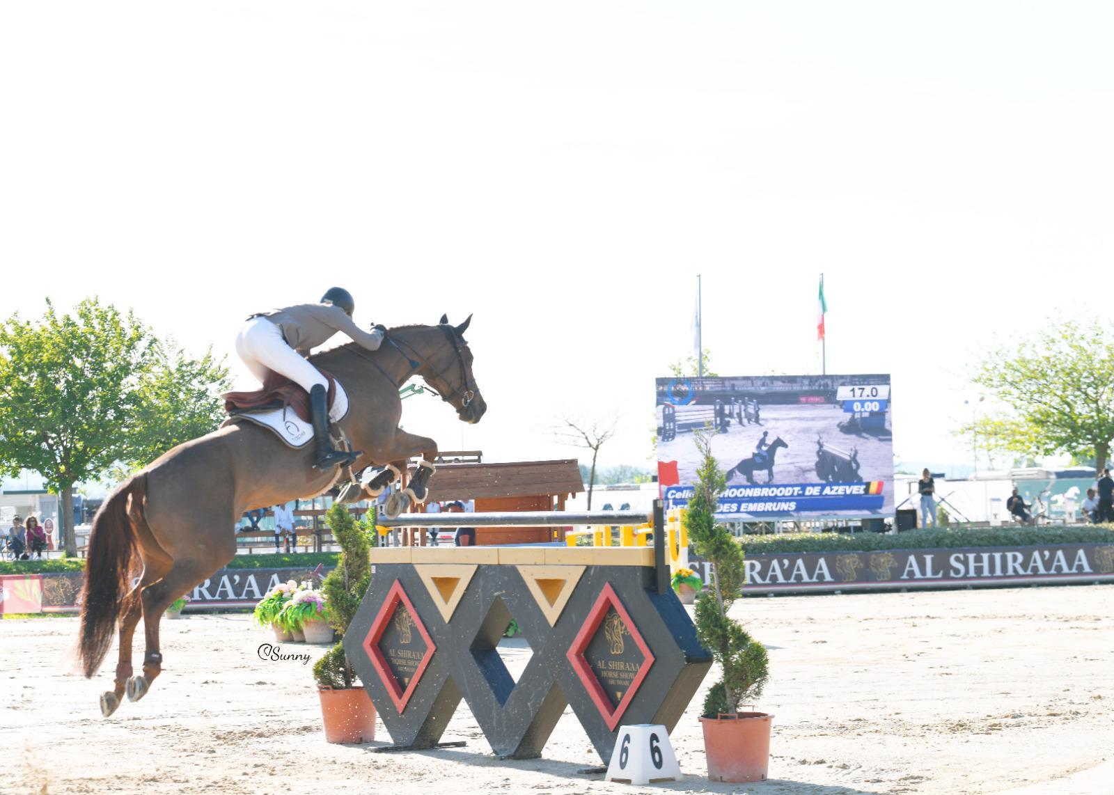 Montefalco, grande spettacolo per il Sagrantino Show Jumping: in arrivo il secondo weekend 10 Montefalco, grande spettacolo per il Sagrantino Show Jumping: in arrivo il secondo weekend 9