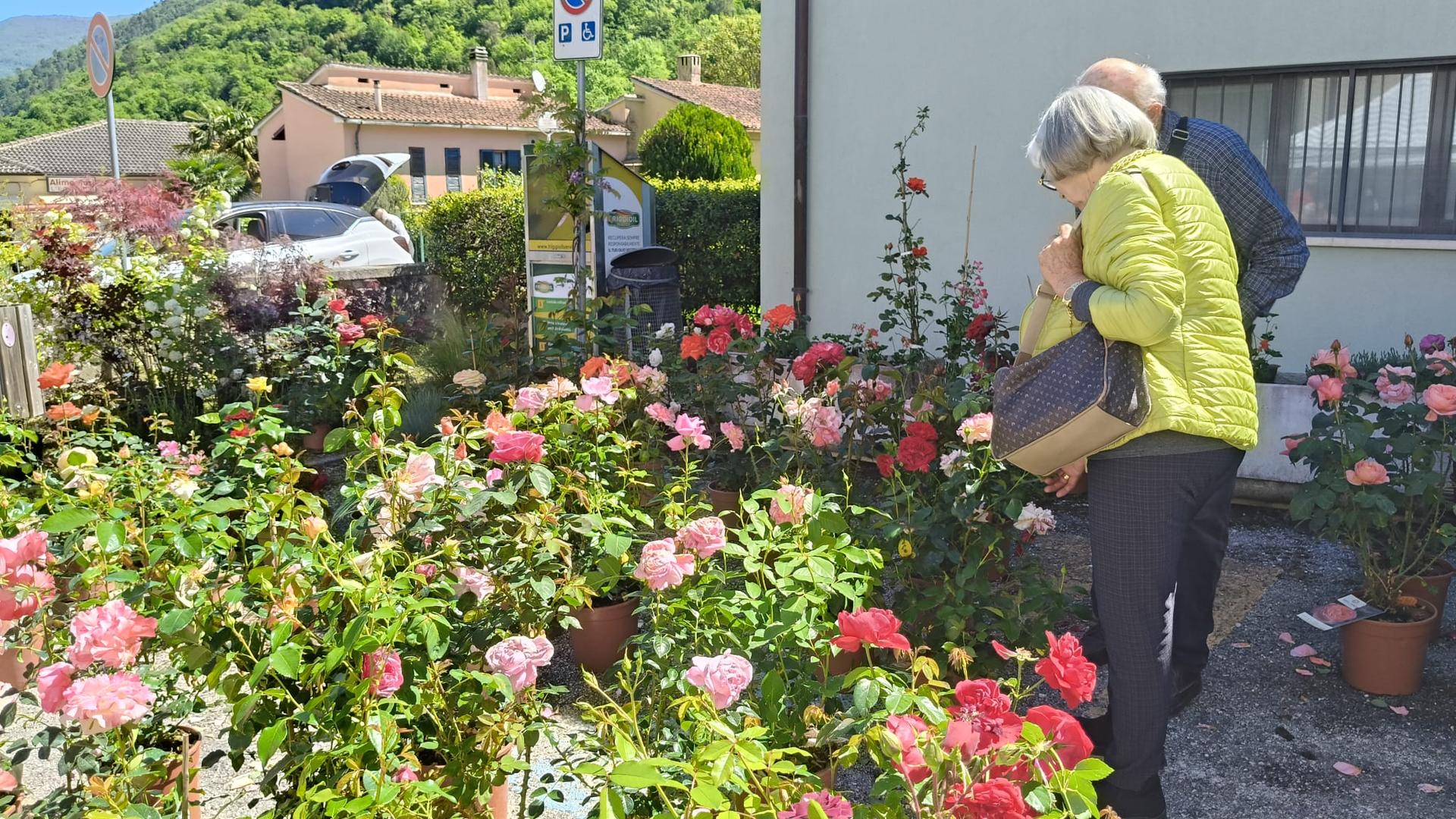 Sant’Anatolia di Narco, torna “Primavera in Valnerina” tra fiori, borghi e tradizioni 8 Sant’Anatolia di Narco, torna “Primavera in Valnerina” tra fiori, borghi e tradizioni 7