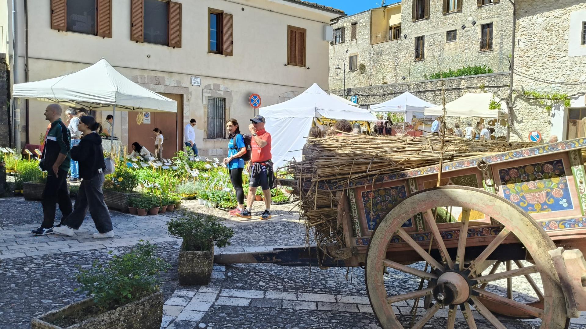 Sant’Anatolia di Narco, torna “Primavera in Valnerina” tra fiori, borghi e tradizioni 10 Sant’Anatolia di Narco, torna “Primavera in Valnerina” tra fiori, borghi e tradizioni 9