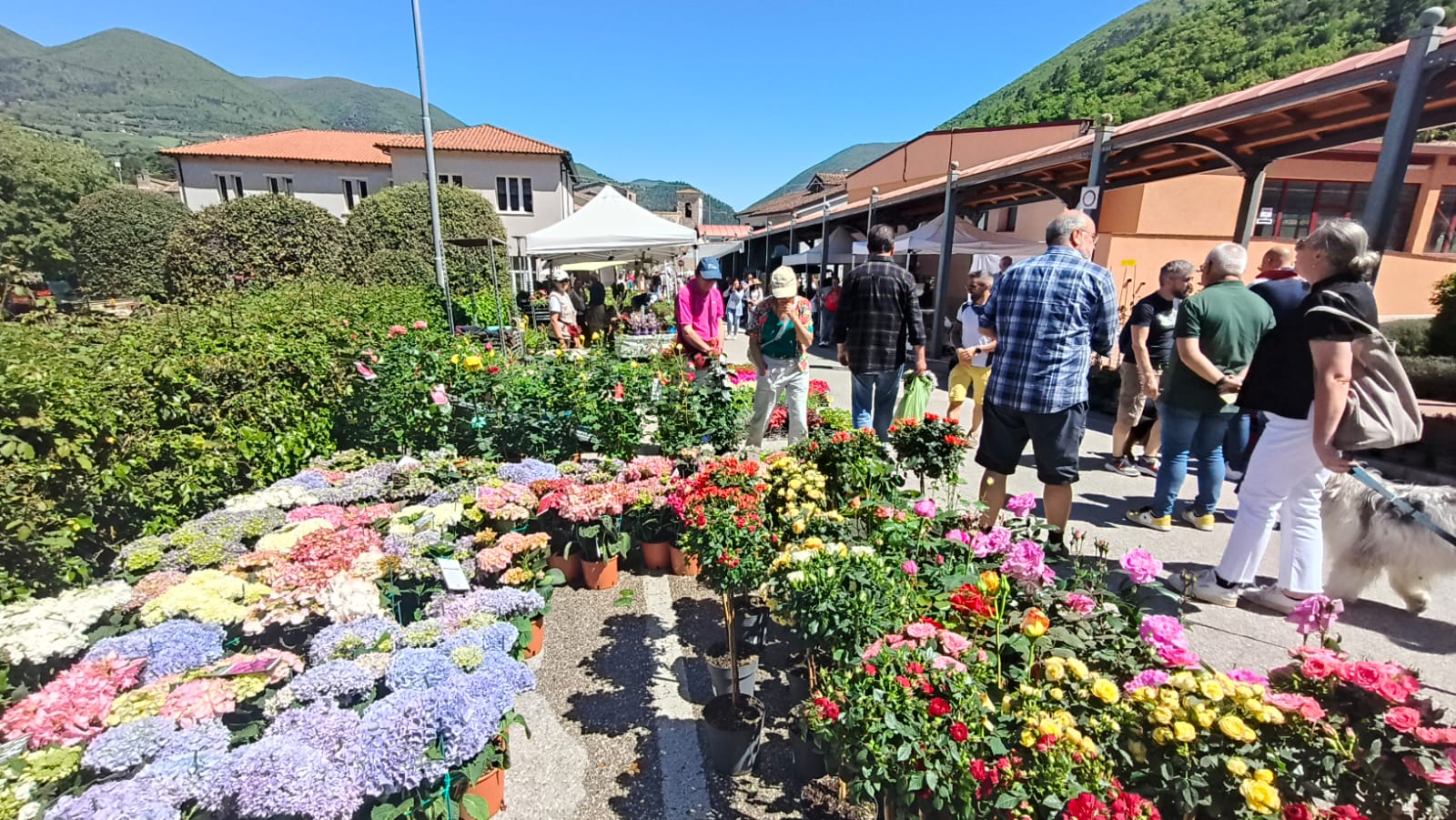 Sant’Anatolia di Narco, torna “Primavera in Valnerina” tra fiori, borghi e tradizioni 12 Sant’Anatolia di Narco, torna “Primavera in Valnerina” tra fiori, borghi e tradizioni 11