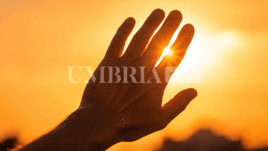 Umbria nella morsa del caldo: nel weekend temperature fino a 40 gradi 21