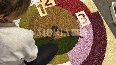 Le Infiorate di Spello: una lunga notte di arte, colori e tradizione (foto) 14