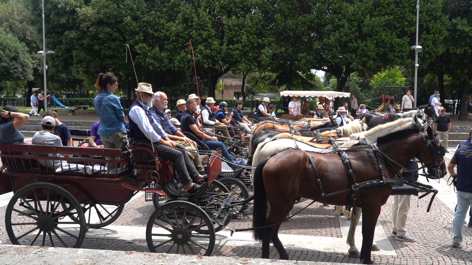 Da Spoleto ad Assisi in carrozza: il viaggio dell’inclusione sulle orme di San Francesco 13