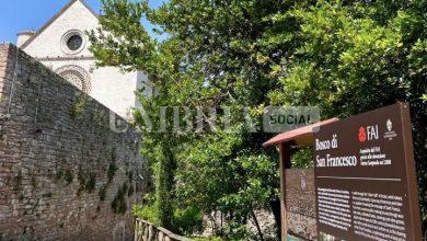 Incendio ad Assisi, nessun danno al Bosco di San Francesco: è regolarmente aperto 5