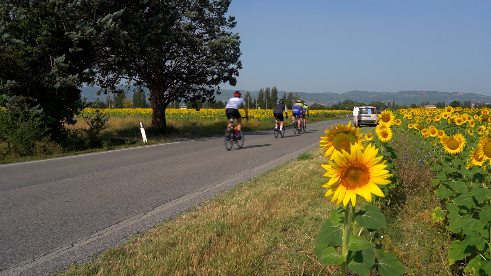 Successo per la prima Mediofondo di Assisi: 180 ciclisti sulle strade del territorio 6 Successo per la prima Mediofondo di Assisi: 180 ciclisti sulle strade del territorio 5