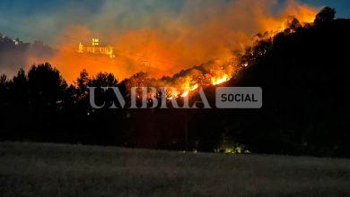 Maxi incendio ad Assisi, a fuoco l'area vicina al Bosco di San Francesco (foto e video) 9