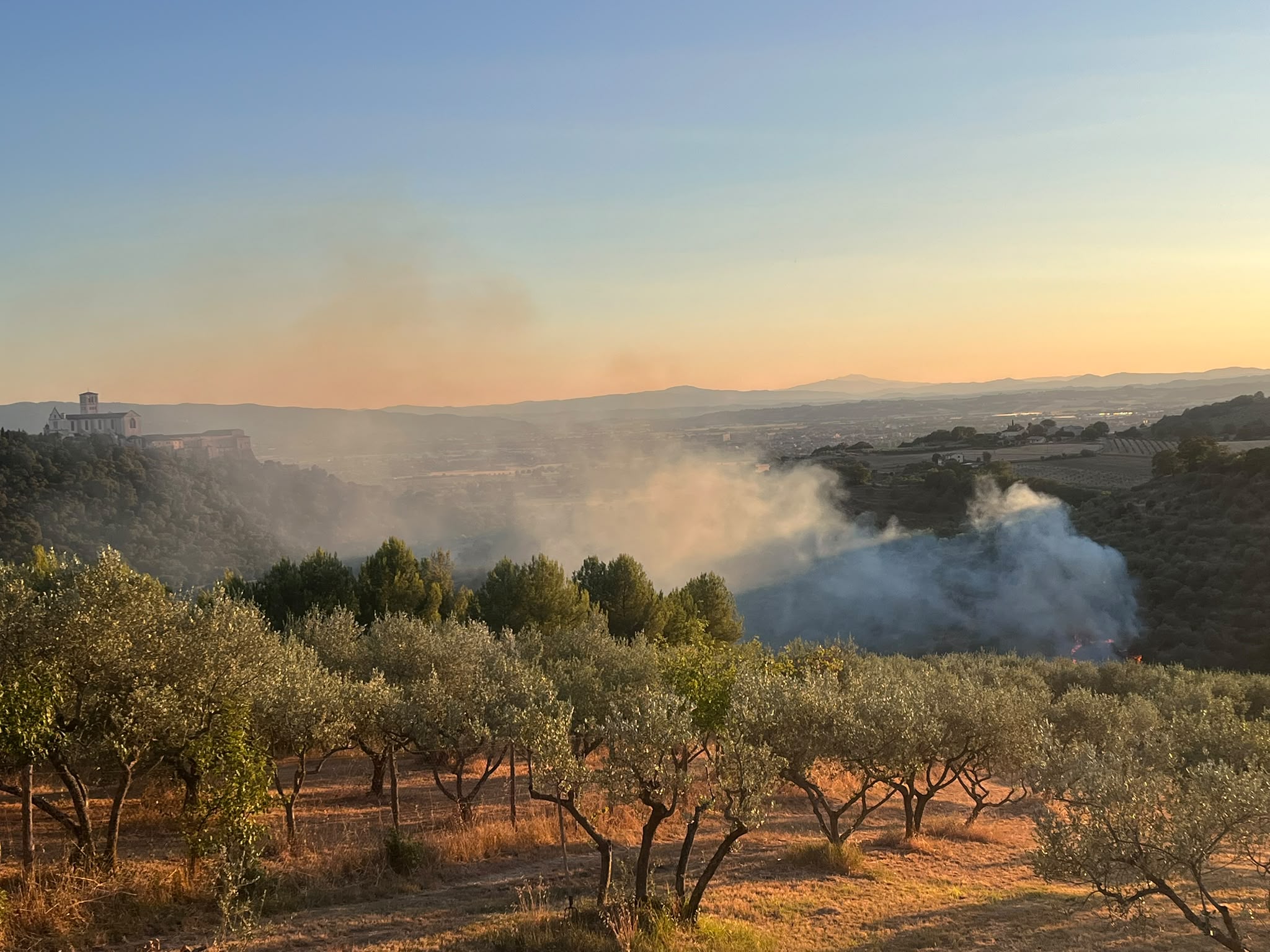 Maxi incendio ad Assisi, a fuoco l'area vicina al Bosco di San Francesco (foto e video) 8 Maxi incendio ad Assisi, a fuoco l'area vicina al Bosco di San Francesco (foto e video) 7