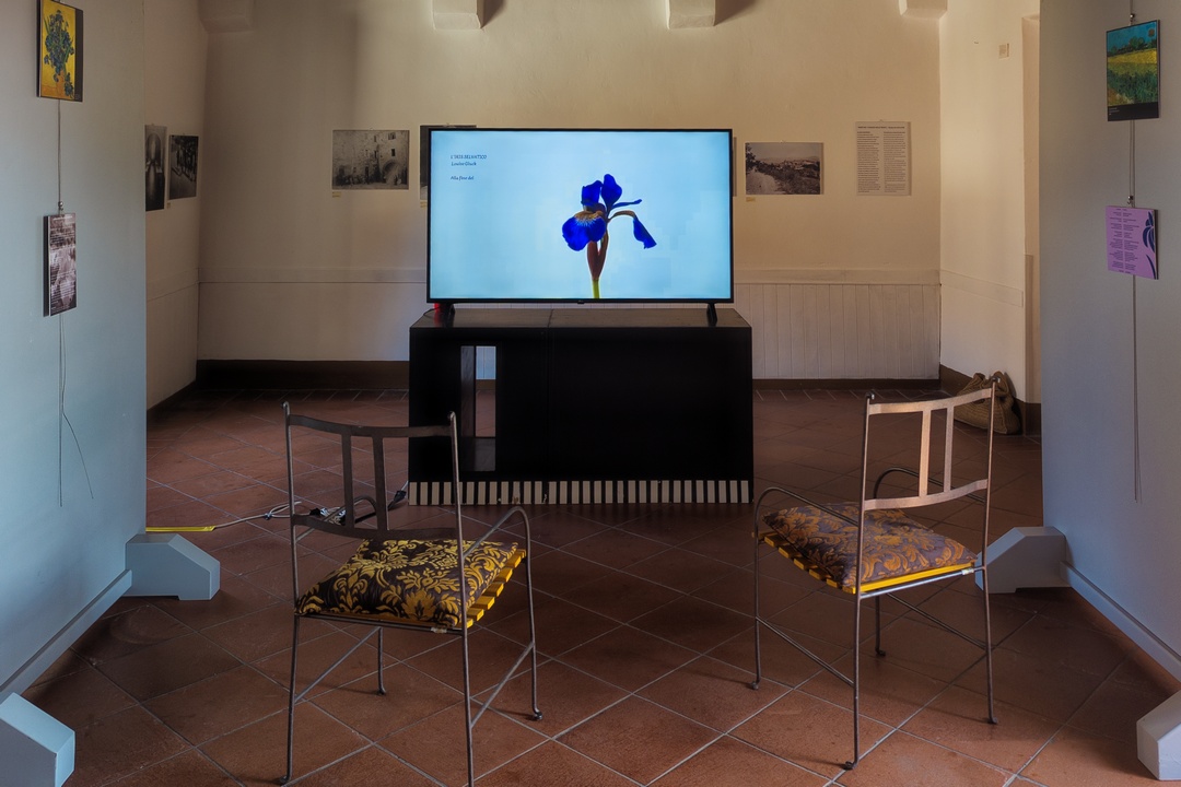A Panicale la fugace bellezza degli iris negli scatti di Elena Bellaviti 8 A Panicale la fugace bellezza degli iris negli scatti di Elena Bellaviti 7