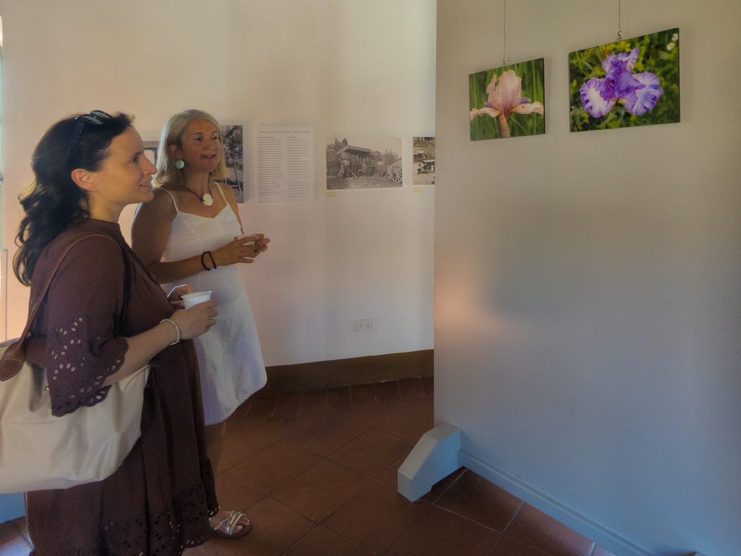A Panicale la fugace bellezza degli iris negli scatti di Elena Bellaviti 12 A Panicale la fugace bellezza degli iris negli scatti di Elena Bellaviti 11