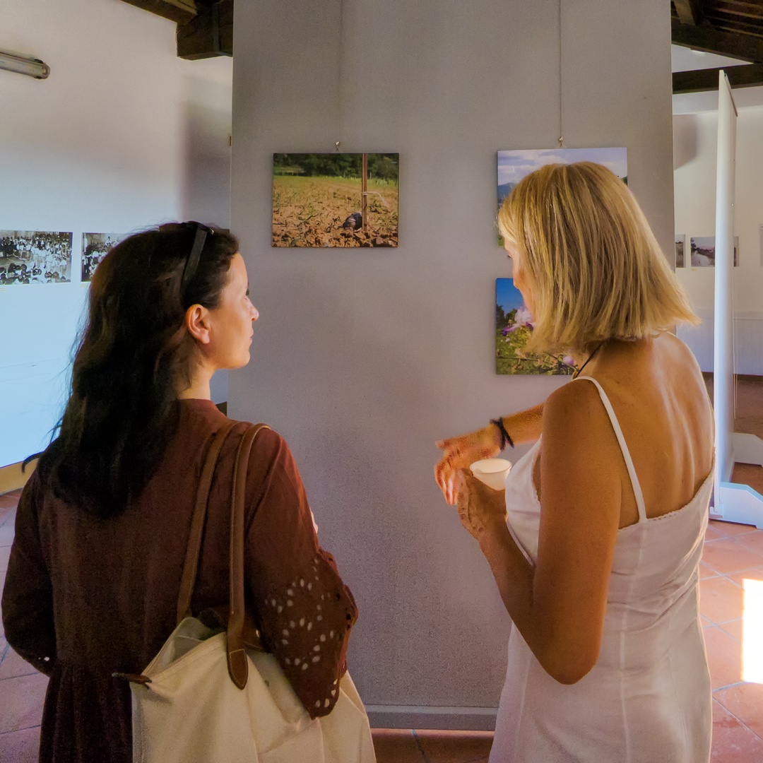 A Panicale la fugace bellezza degli iris negli scatti di Elena Bellaviti 10 A Panicale la fugace bellezza degli iris negli scatti di Elena Bellaviti 9