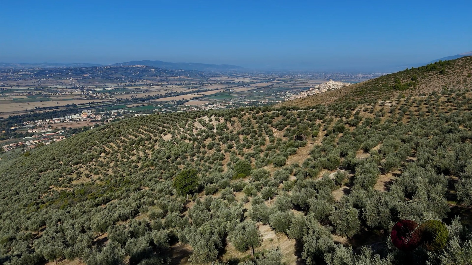 Terre dell’olio e del Sagrantino, nasce il cartellone unico “Intrecci di terre e sapori 2026” 8 Terre dell’olio e del Sagrantino, nasce il cartellone unico “Intrecci di terre e sapori 2026” 7