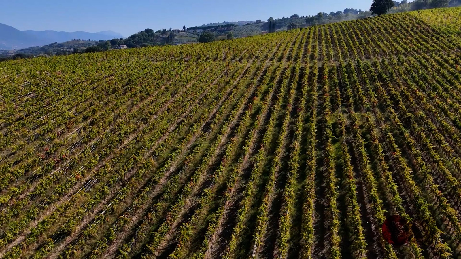 Terre dell’olio e del Sagrantino, nasce il cartellone unico “Intrecci di terre e sapori 2026” 10 Terre dell’olio e del Sagrantino, nasce il cartellone unico “Intrecci di terre e sapori 2026” 9