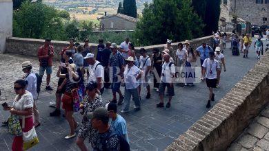 Turismo in Umbria, Assisi traina la grande crescita: +9% rispetto al 2025 10 Turismo in Umbria, Assisi traina la grande crescita: +9% rispetto al 2025 9