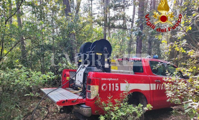 Incendio a Casaccia, a sud di Monte Santa Maria Tiberina: intervento del Vigili del Fuoco 2 Incendio a Casaccia, a sud di Monte Santa Maria Tiberina: intervento del Vigili del Fuoco 1