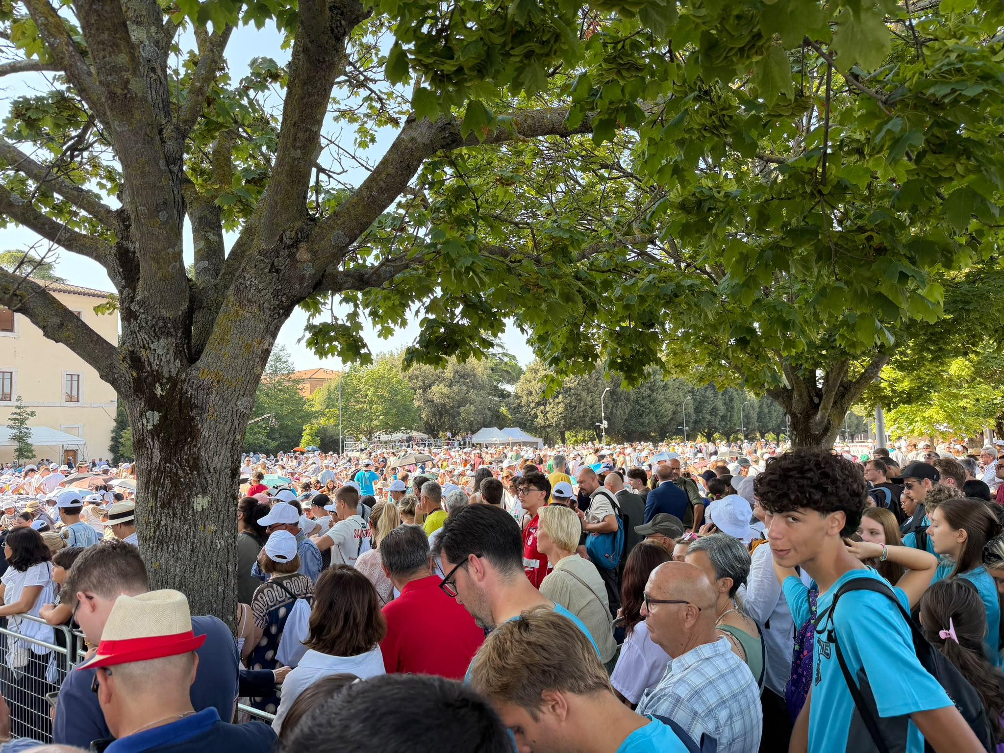 Papa Leone XIV ad Assisi, l'abbraccio di 2.500 giovani alla Porziuncola nel segno della pace (foto+video) 32 Papa Leone XIV ad Assisi, l'abbraccio di 2.500 giovani alla Porziuncola nel segno della pace (foto+video) 31