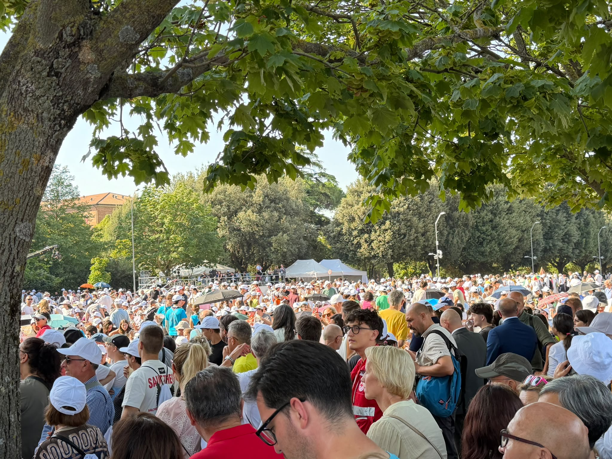 Papa Leone XIV ad Assisi, l'abbraccio di 2.500 giovani alla Porziuncola nel segno della pace (foto+video) 34 Papa Leone XIV ad Assisi, l'abbraccio di 2.500 giovani alla Porziuncola nel segno della pace (foto+video) 33