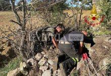 Vigili del Fuoco di Città di Castello: recuperato un cane da caccia caduto in un pozzo a Umbertide (foto) 6 Vigili del Fuoco di Città di Castello: recuperato un cane da caccia caduto in un pozzo a Umbertide (foto) 5