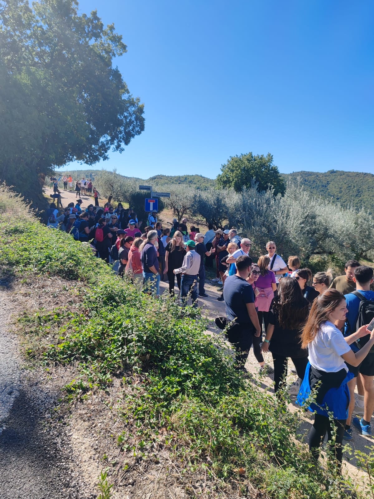 L’energia di Umbria Crossing conquista Bettona: sport, solidarietà e un grande abbraccio per la Pediatria di Perugia (foto) 10 L’energia di Umbria Crossing conquista Bettona: sport, solidarietà e un grande abbraccio per la Pediatria di Perugia (foto) 9