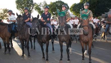 Emozione per la Cavalcata di Satriano 2026: oltre 110 cavalieri sulle orme di San Francesco (foto+video) 7