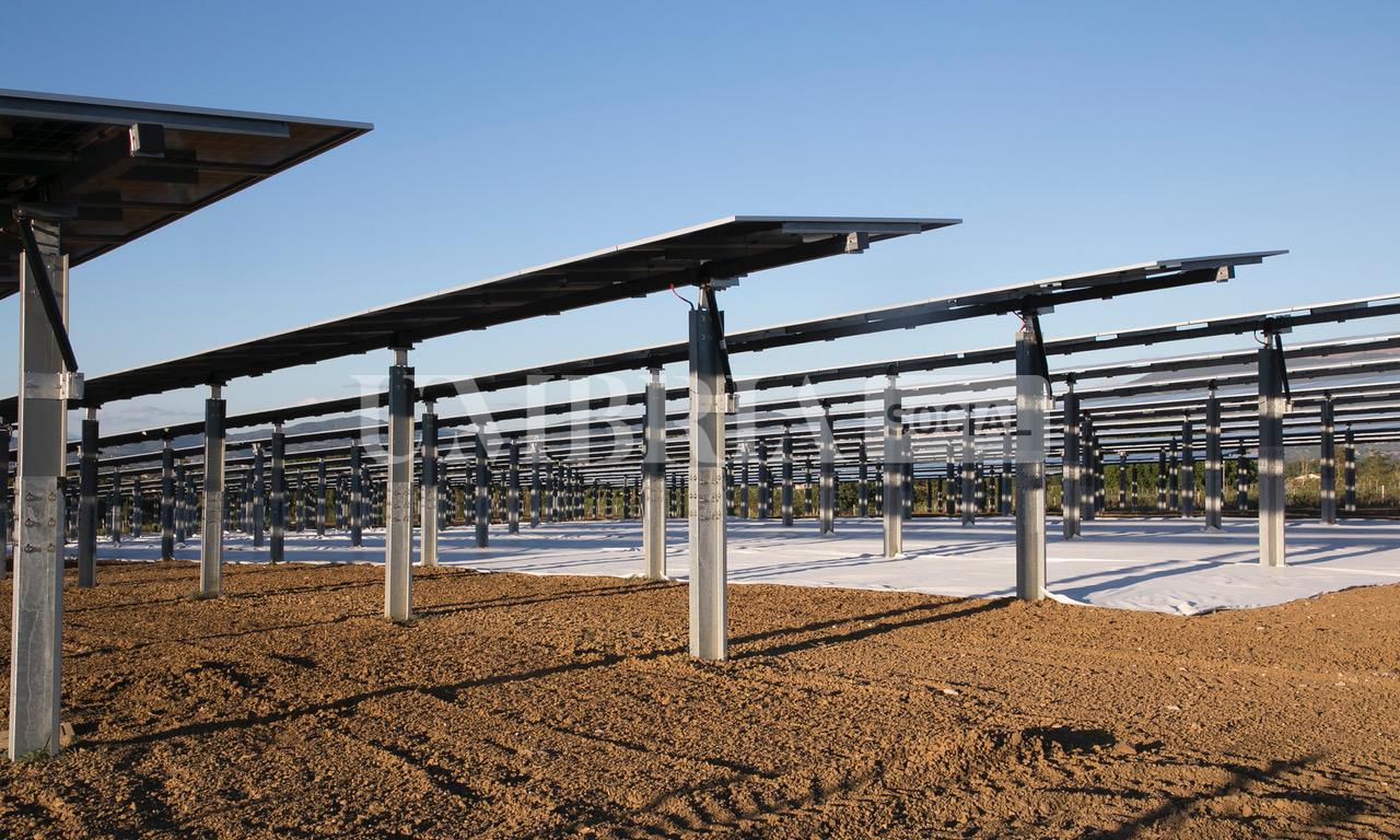 A Bettona il mirtillo cresce sotto il fotovoltaico: alla Tenuta Servettini agricoltura ed energia insieme (foto+video) 5 A Bettona il mirtillo cresce sotto il fotovoltaico: alla Tenuta Servettini agricoltura ed energia insieme (foto+video) 4