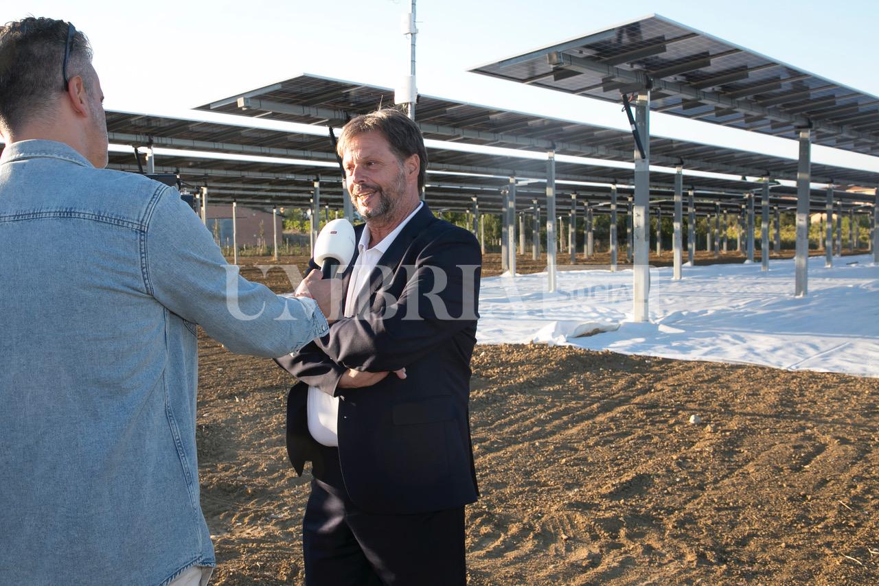 A Bettona il mirtillo cresce sotto il fotovoltaico: alla Tenuta Servettini agricoltura ed energia insieme (foto+video) 7 A Bettona il mirtillo cresce sotto il fotovoltaico: alla Tenuta Servettini agricoltura ed energia insieme (foto+video) 6