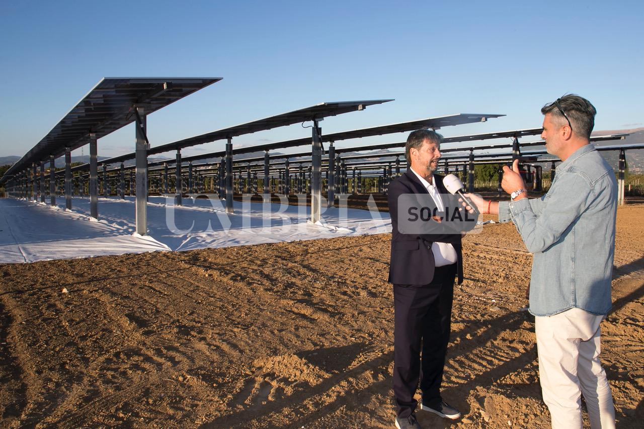 A Bettona il mirtillo cresce sotto il fotovoltaico: alla Tenuta Servettini agricoltura ed energia insieme (foto+video) 9 A Bettona il mirtillo cresce sotto il fotovoltaico: alla Tenuta Servettini agricoltura ed energia insieme (foto+video) 8