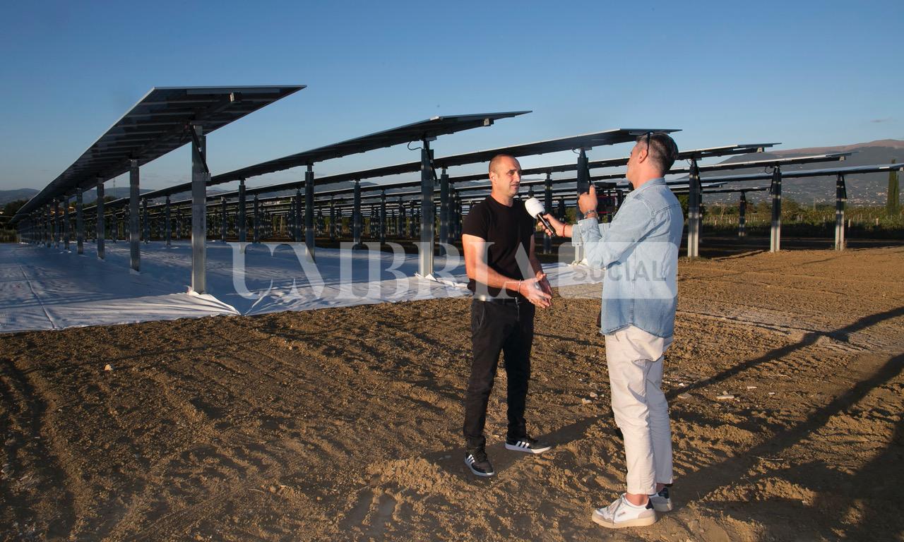 A Bettona il mirtillo cresce sotto il fotovoltaico: alla Tenuta Servettini agricoltura ed energia insieme (foto+video) 13 A Bettona il mirtillo cresce sotto il fotovoltaico: alla Tenuta Servettini agricoltura ed energia insieme (foto+video) 12
