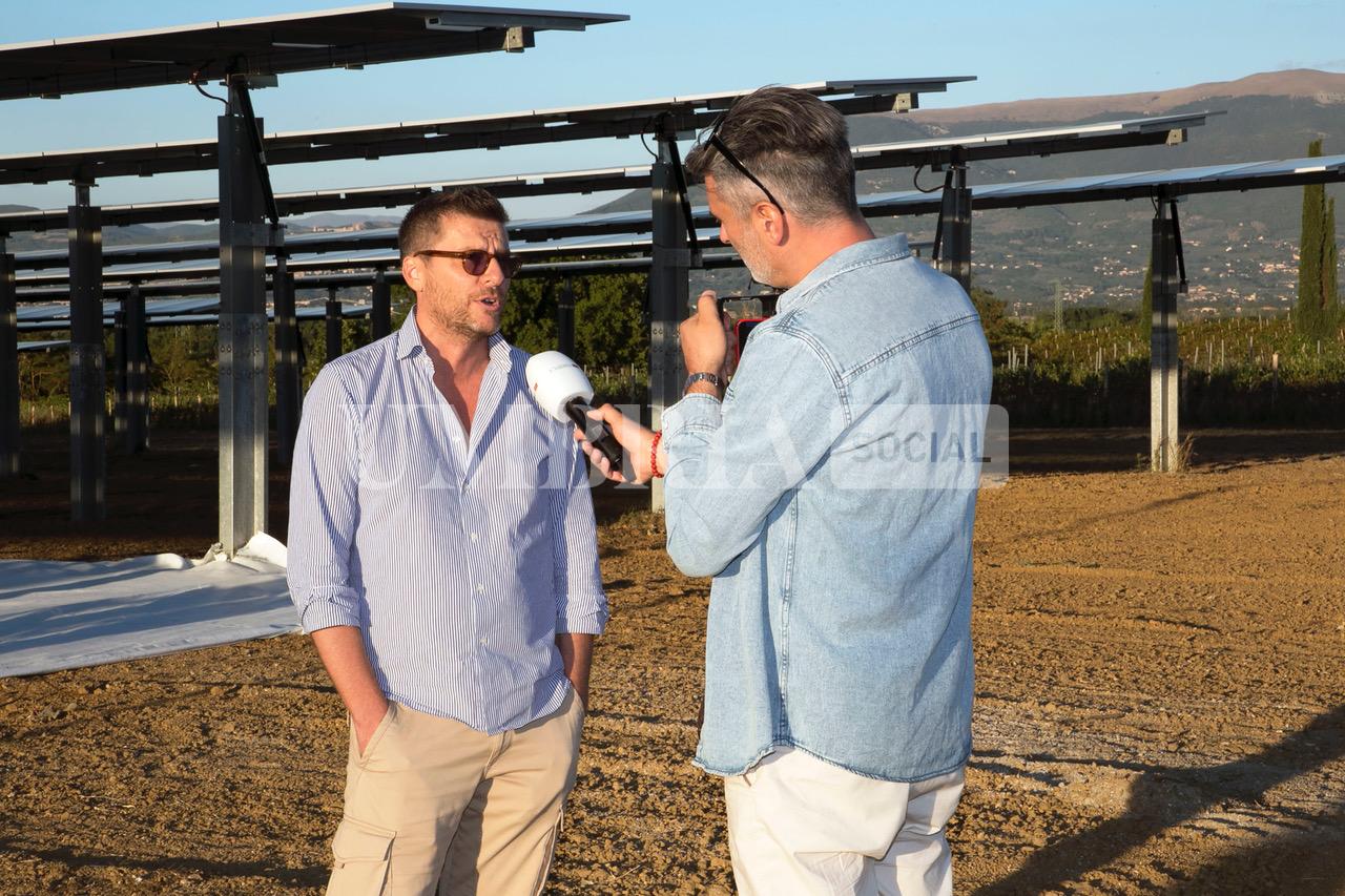 A Bettona il mirtillo cresce sotto il fotovoltaico: alla Tenuta Servettini agricoltura ed energia insieme (foto+video) 15 A Bettona il mirtillo cresce sotto il fotovoltaico: alla Tenuta Servettini agricoltura ed energia insieme (foto+video) 14