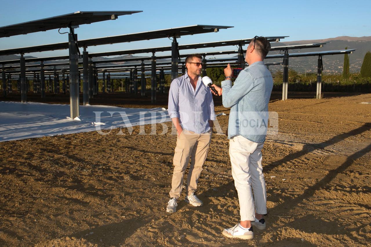 A Bettona il mirtillo cresce sotto il fotovoltaico: alla Tenuta Servettini agricoltura ed energia insieme (foto+video) 17 A Bettona il mirtillo cresce sotto il fotovoltaico: alla Tenuta Servettini agricoltura ed energia insieme (foto+video) 16