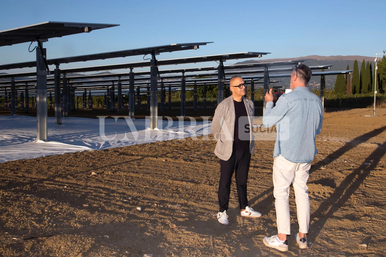 A Bettona il mirtillo cresce sotto il fotovoltaico: alla Tenuta Servettini agricoltura ed energia insieme (foto+video) 21 A Bettona il mirtillo cresce sotto il fotovoltaico: alla Tenuta Servettini agricoltura ed energia insieme (foto+video) 20