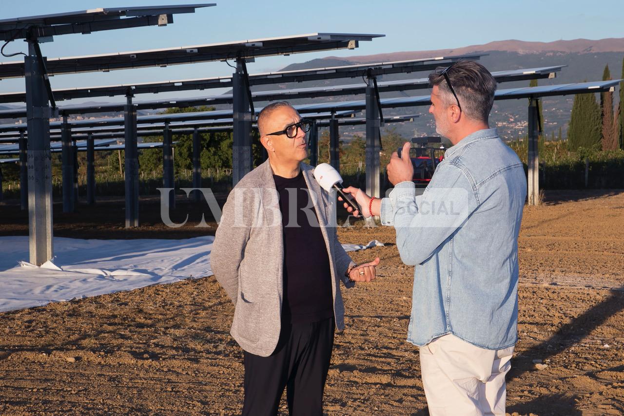 A Bettona il mirtillo cresce sotto il fotovoltaico: alla Tenuta Servettini agricoltura ed energia insieme (foto+video) 25 A Bettona il mirtillo cresce sotto il fotovoltaico: alla Tenuta Servettini agricoltura ed energia insieme (foto+video) 24