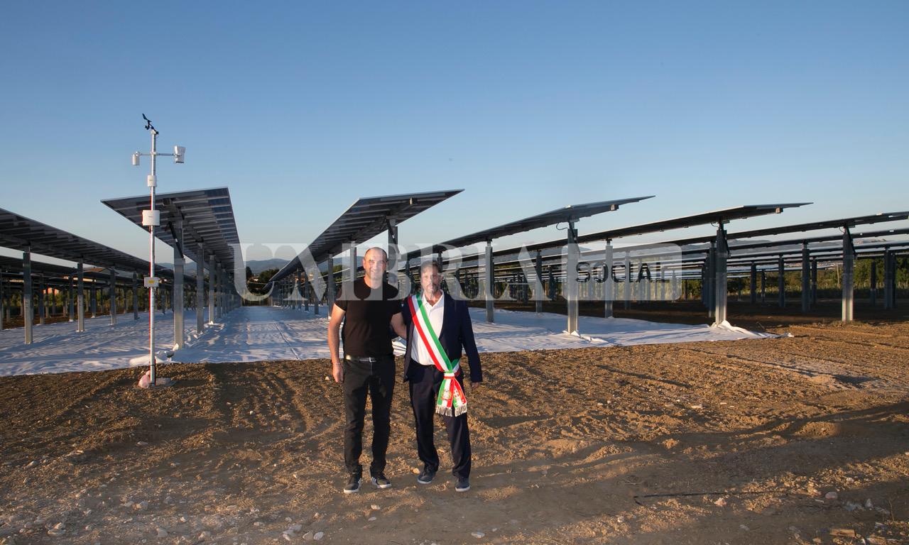A Bettona il mirtillo cresce sotto il fotovoltaico: alla Tenuta Servettini agricoltura ed energia insieme (foto+video) 27 A Bettona il mirtillo cresce sotto il fotovoltaico: alla Tenuta Servettini agricoltura ed energia insieme (foto+video) 26