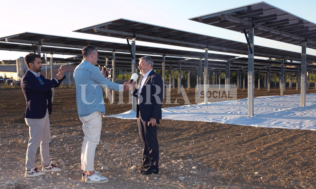 A Bettona il mirtillo cresce sotto il fotovoltaico: alla Tenuta Servettini agricoltura ed energia insieme (foto+video) 31 A Bettona il mirtillo cresce sotto il fotovoltaico: alla Tenuta Servettini agricoltura ed energia insieme (foto+video) 30