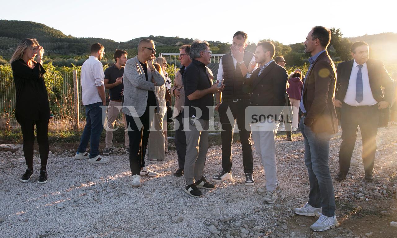 A Bettona il mirtillo cresce sotto il fotovoltaico: alla Tenuta Servettini agricoltura ed energia insieme (foto+video) 33 A Bettona il mirtillo cresce sotto il fotovoltaico: alla Tenuta Servettini agricoltura ed energia insieme (foto+video) 32