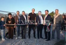 A Bettona il mirtillo cresce sotto il fotovoltaico: alla Tenuta Servettini agricoltura ed energia insieme (foto+video) 46 A Bettona il mirtillo cresce sotto il fotovoltaico: alla Tenuta Servettini agricoltura ed energia insieme (foto+video) 45