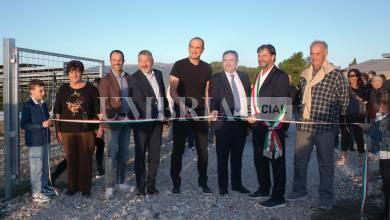 A Bettona il mirtillo cresce sotto il fotovoltaico: alla Tenuta Servettini agricoltura ed energia insieme (foto+video) 9 A Bettona il mirtillo cresce sotto il fotovoltaico: alla Tenuta Servettini agricoltura ed energia insieme (foto+video) 8