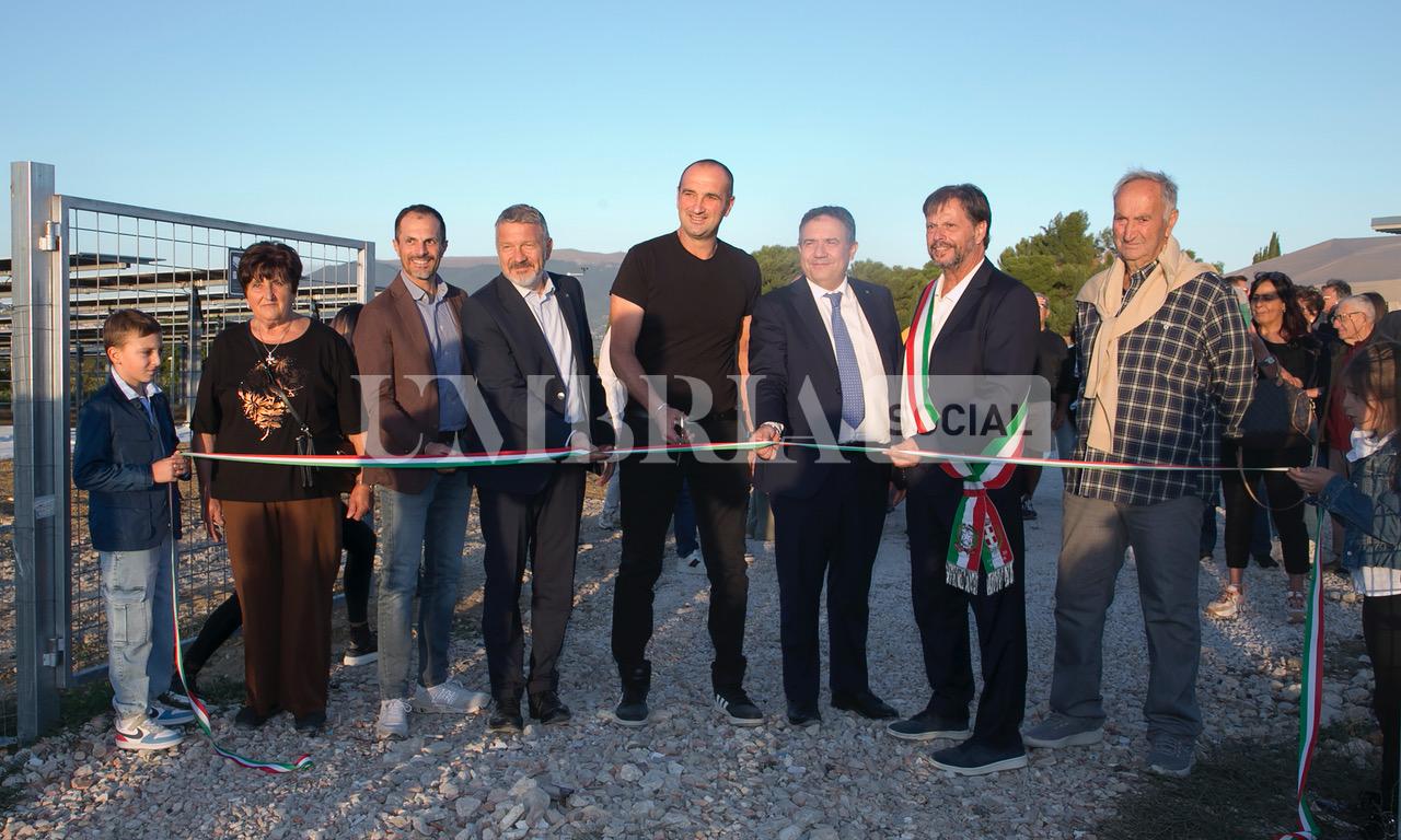 A Bettona il mirtillo cresce sotto il fotovoltaico: alla Tenuta Servettini agricoltura ed energia insieme (foto+video) 35 A Bettona il mirtillo cresce sotto il fotovoltaico: alla Tenuta Servettini agricoltura ed energia insieme (foto+video) 34