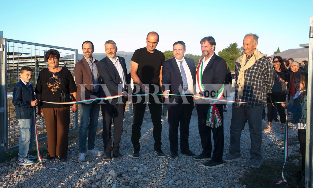 A Bettona il mirtillo cresce sotto il fotovoltaico: alla Tenuta Servettini agricoltura ed energia insieme (foto+video) 37 A Bettona il mirtillo cresce sotto il fotovoltaico: alla Tenuta Servettini agricoltura ed energia insieme (foto+video) 36